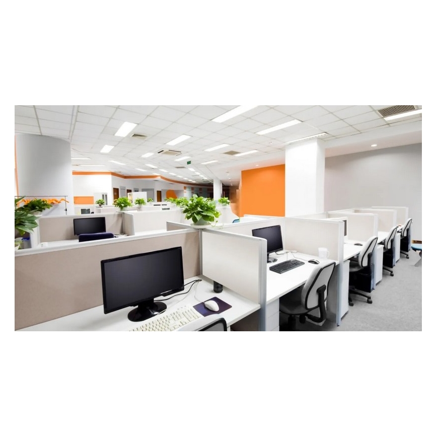 Steinel 079574 - Närvarodetektor DualTech COM1 vit