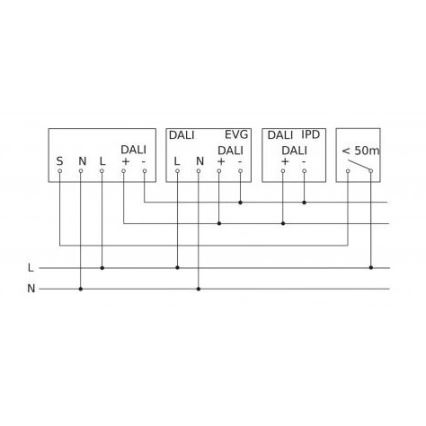 Steinel 088194 - Rörelsesensor med närvarosensor PD-8 ECO DALI-2 360° vit