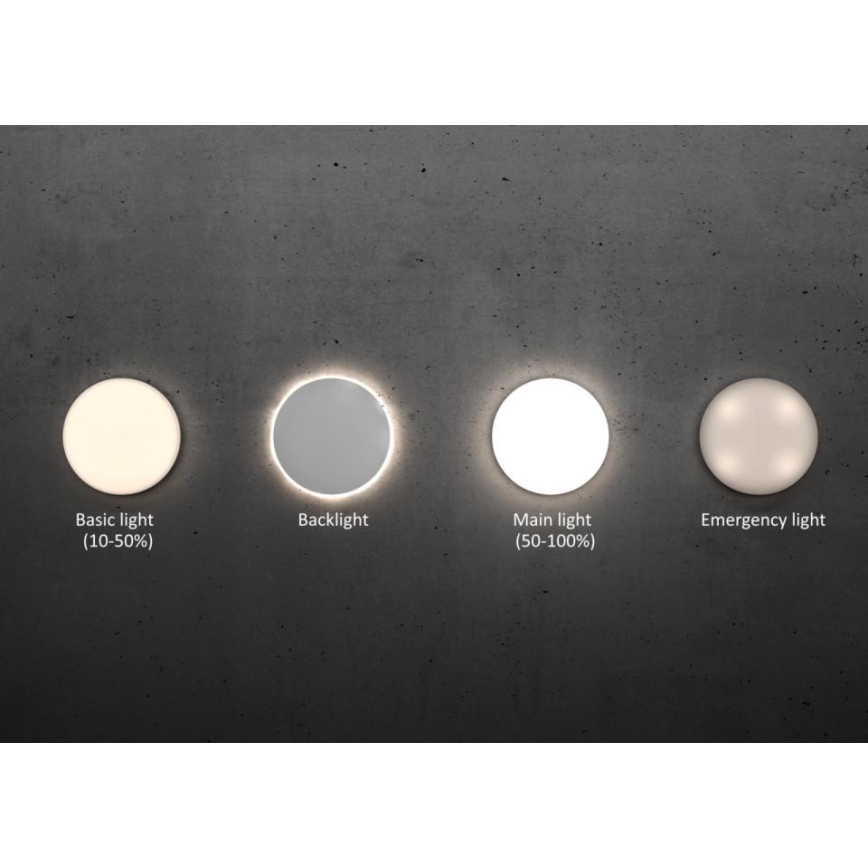 Steinel - LED Dimbar taklampa med sensor RSPROR20BASIC 15,3W/230V IP40 4000K