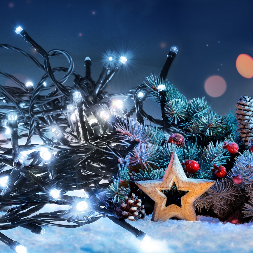 LED utomhus julkedja  200xLED/8 funktioner 15m IP44 kall vit