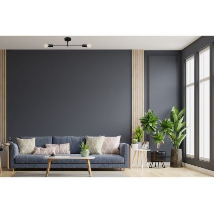 Surface-mounted takkrona  CAMBRIDGE 2xE27/15W/230V svart 