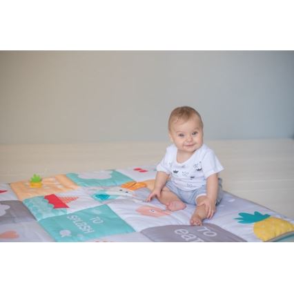 Taf Toys - Barnlekmatta djur