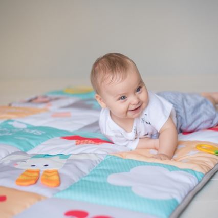 Taf Toys - Barnlekmatta djur