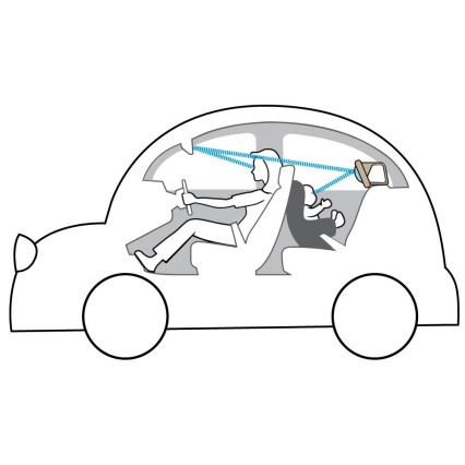 Taf Toys - Car mirror koala