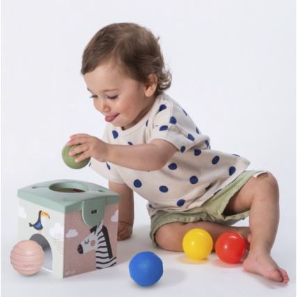 Taf Toys - Interactive play box MAGIC BOX