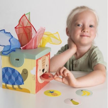 Taf Toys - Interactive play box MAGIC BOX