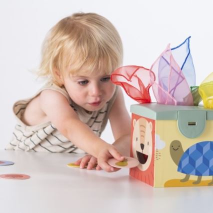 Taf Toys - Interactive play box MAGIC BOX