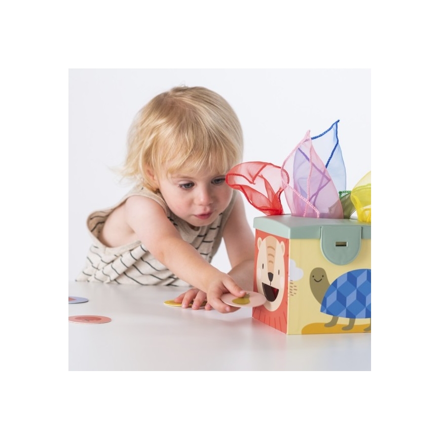 Taf Toys - Interactive play box MAGIC BOX