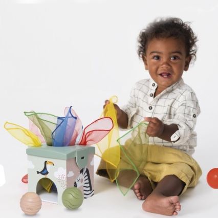 Taf Toys - Interactive play box MAGIC BOX