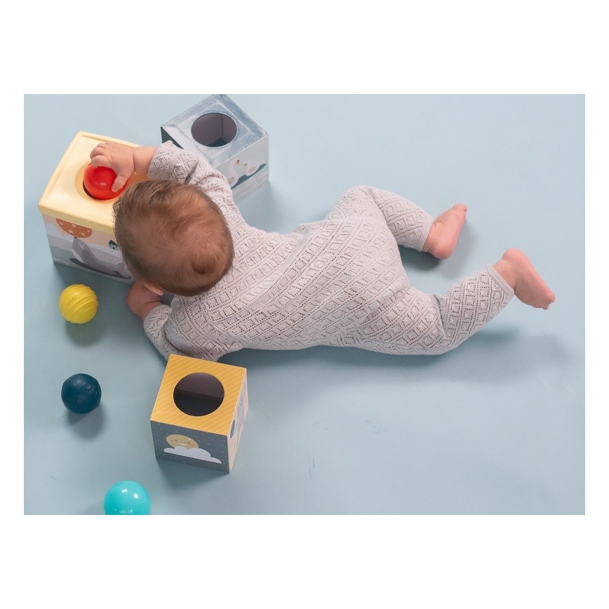 Taf Toys - Interaktivt lekset PLEASE TRANSLATE