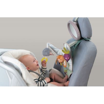 Taf Toys - Lekcenter för bil Trädgård