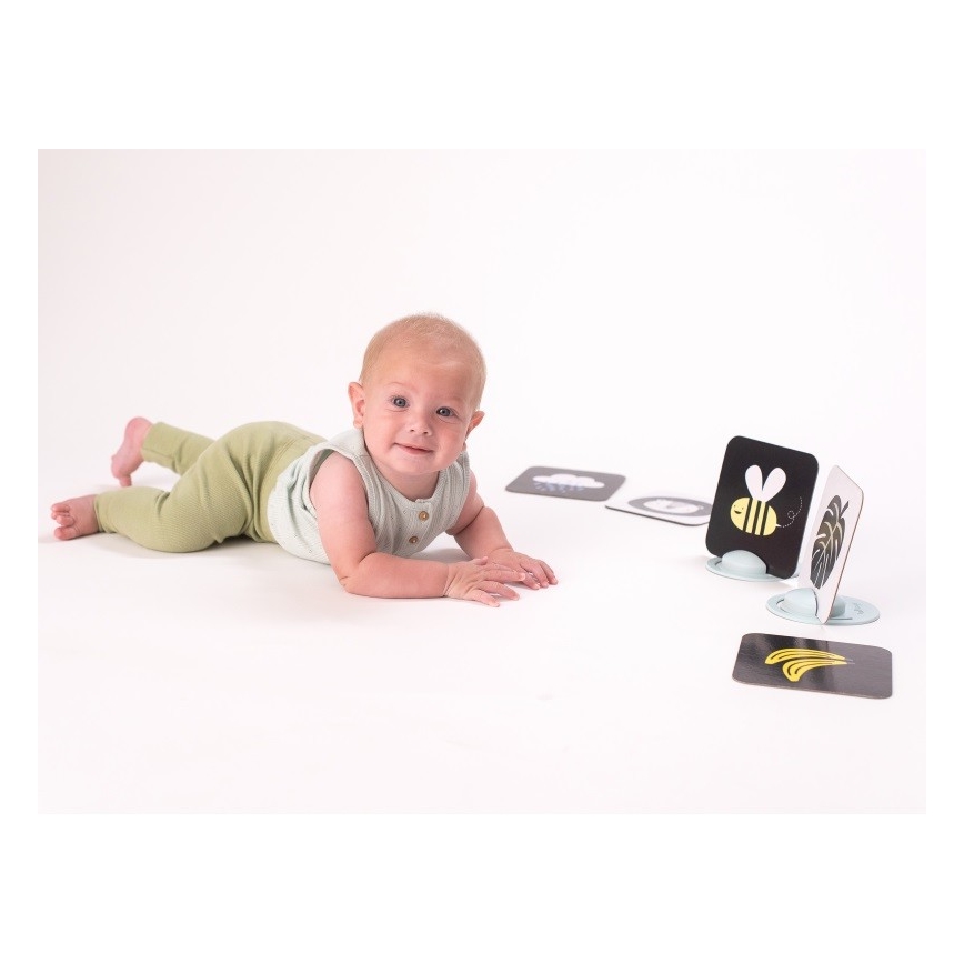 Taf Toys - PLEASE TRANSLATE 18 delar