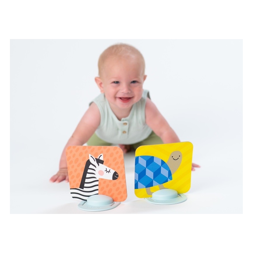 Taf Toys - PLEASE TRANSLATE 18 delar