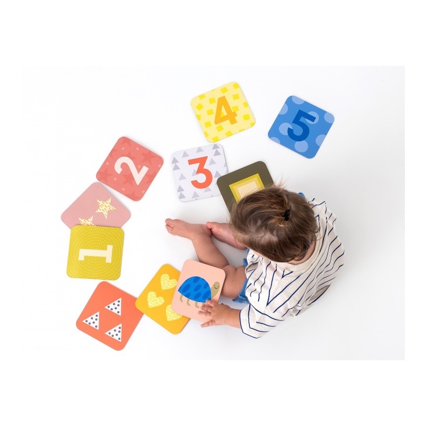 Taf Toys - PLEASE TRANSLATE 18 delar