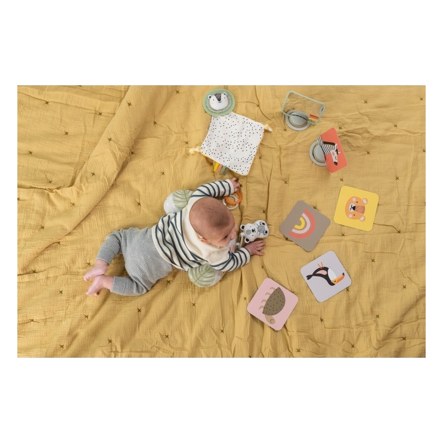 Taf Toys - Presentbox HELLO BABY