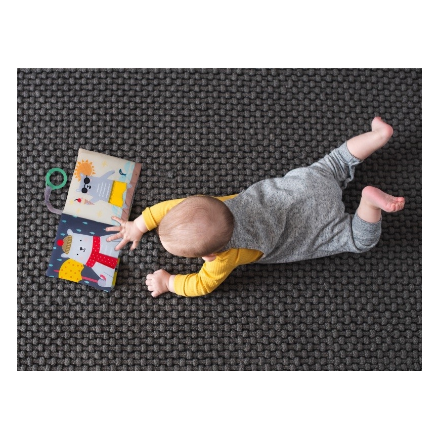 Taf Toys - Tygbarnbok björn