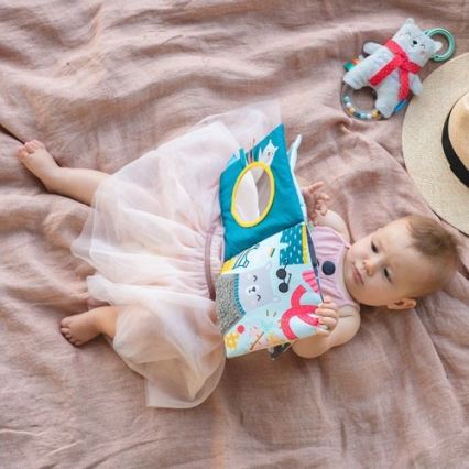 Taf Toys - Tygbarnbok björn