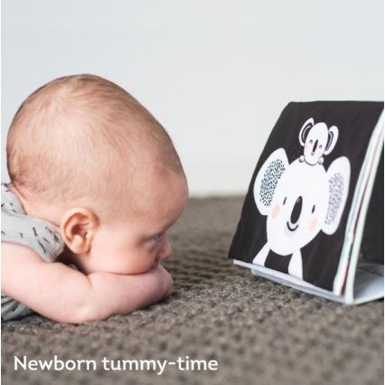 Taf Toys - Tygbarnbok med spegel koala