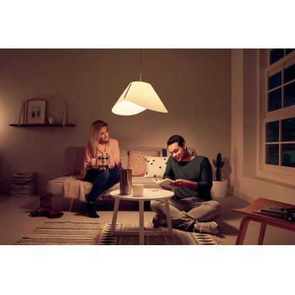 Tak Hängande lampa E27/60W/230V