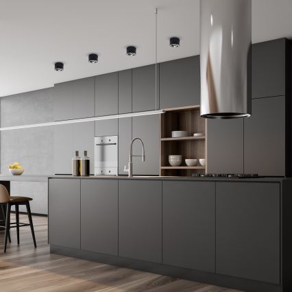 Takbelysning REDONDO 1xAR111 - GU10/12W/230V