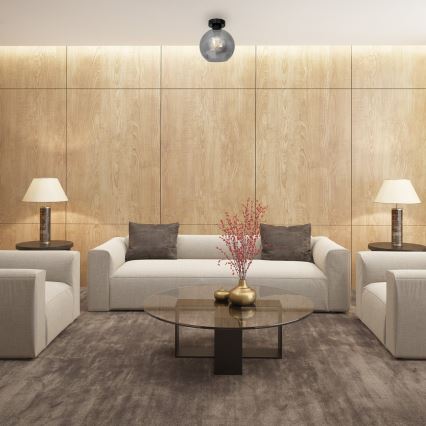 Takbelysning SOFIA 1xE27/60W/230V svart