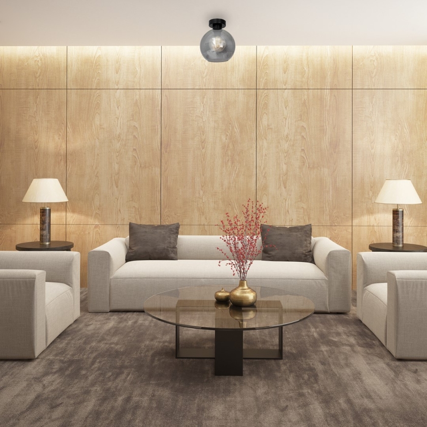 Takbelysning SOFIA 1xE27/60W/230V svart