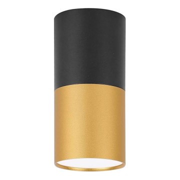 Takbelysning TUBA 1xGU10/15W/230V