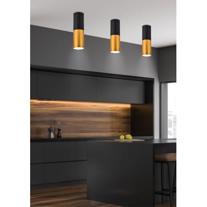 Takbelysning TUBA 1xGU10/15W/230V