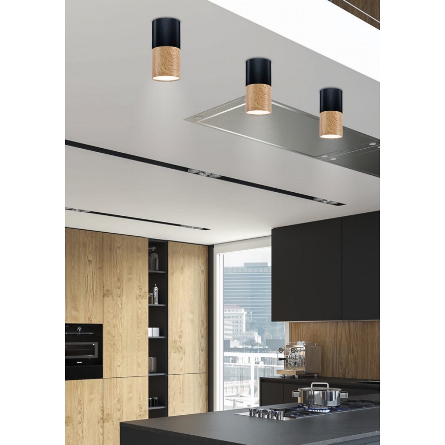 Takbelysning TUBA 1xGU10/50W/230V svart