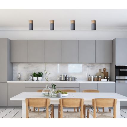 Takbelysning TUBA GU10/15W/230V