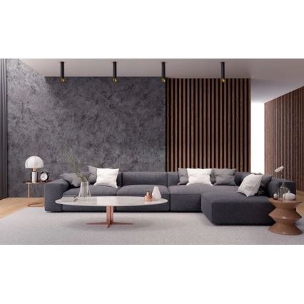 Takbelysning VALDA 1xGU10/60W/230V svart