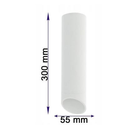 Takbelysning VALDA 1xGU10/60W/230V vit