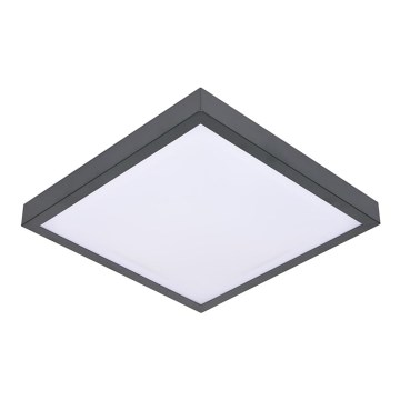 Takbelysning VITAL 2xE27/60W/230V antracit