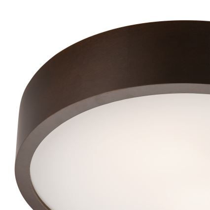 Taklampa 2xE27/60W/230V tallträ