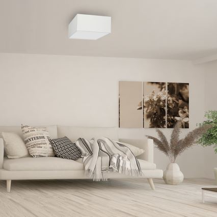 Taklampa  ALBION 2xE27/60W/230V