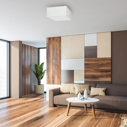 Taklampa  ALBION 2xE27/60W/230V