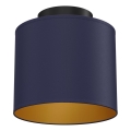 Taklampa ARDEN 1xE27/15W/230V Ø 18 cm blå