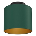 Taklampa ARDEN 1xE27/15W/230V Ø 18 cm grön