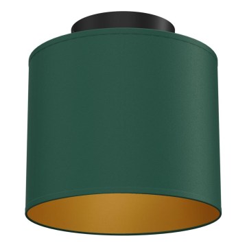 Taklampa ARDEN 1xE27/15W/230V Ø 18 cm grön