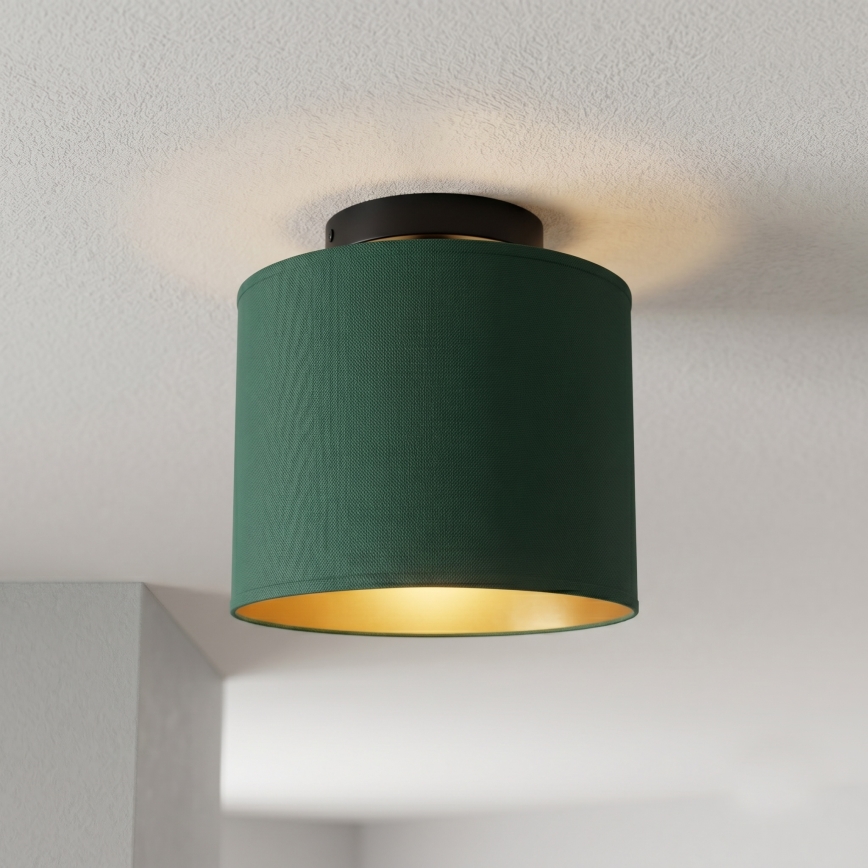 Taklampa ARDEN 1xE27/15W/230V Ø 18 cm grön