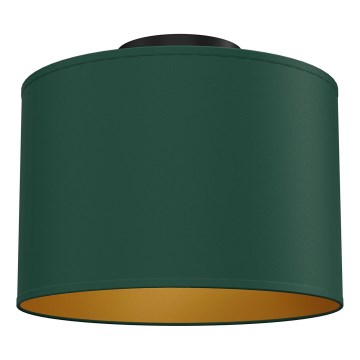 Taklampa ARDEN 1xE27/15W/230V Ø 25 cm, grön
