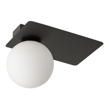 Taklampa  ARGON 1xG9/12W/230V svart 