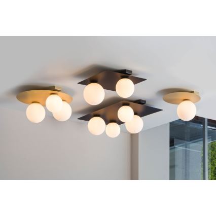 Taklampa  ARGON 2xG9/12W/230V svart 
