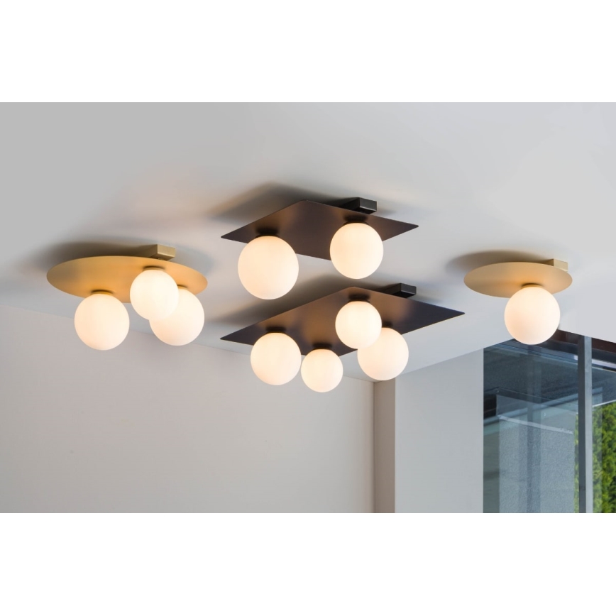 Taklampa  ARGON 2xG9/12W/230V svart 