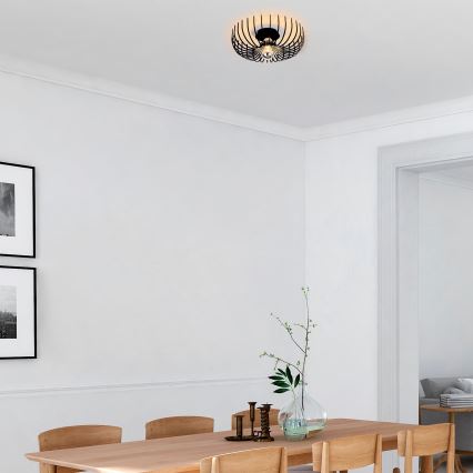 Taklampa  ASPENDOS 1xE27/40W/230V