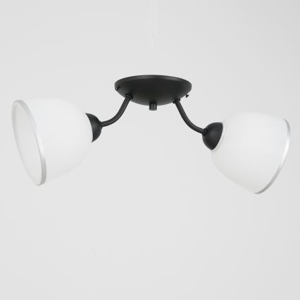 Taklampa AVIA 2xE27/60W/230V