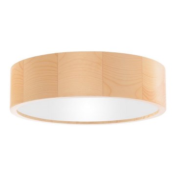 Taklampa  CLEO 2xE27/24W/230V d. 27,5 cm tall