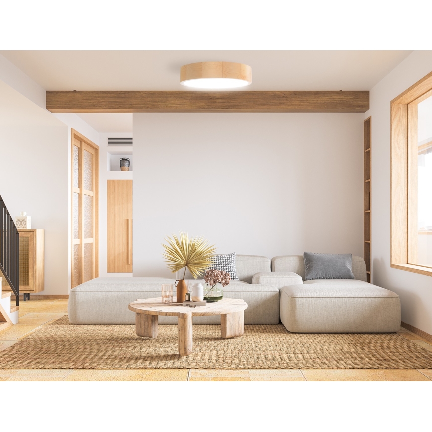 Taklampa  CLEO 2xE27/24W/230V d. 27,5 cm tall