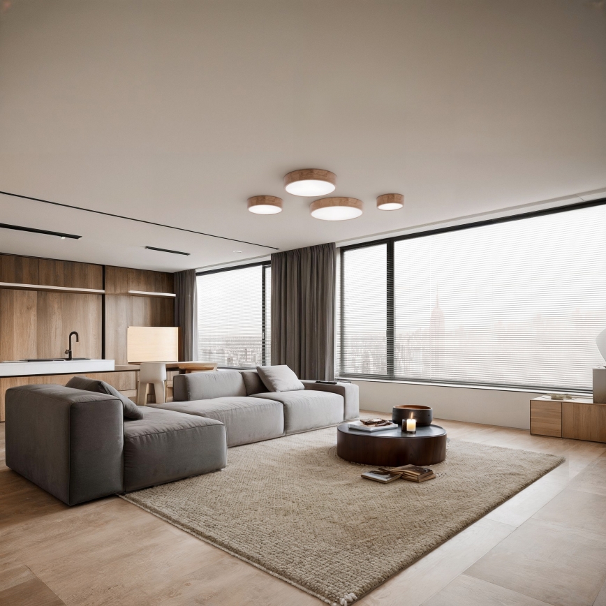 Taklampa CLEO med rörelse- och skymningssensor, 2×E27/24W/230V, Ø 27,5 cm, ek