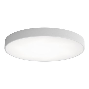 Taklampa CLEO med rörelsesensor och skymningssensor 6xE27/24W/230V Ø 80 cm grå